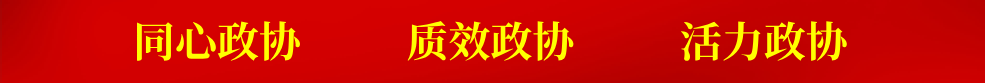 同心政協  質效政協 活力政協
